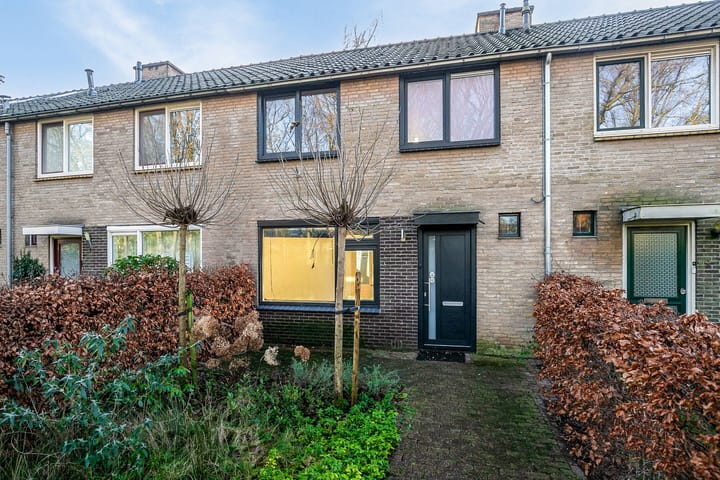 Foto 3 van Zomerweg 3