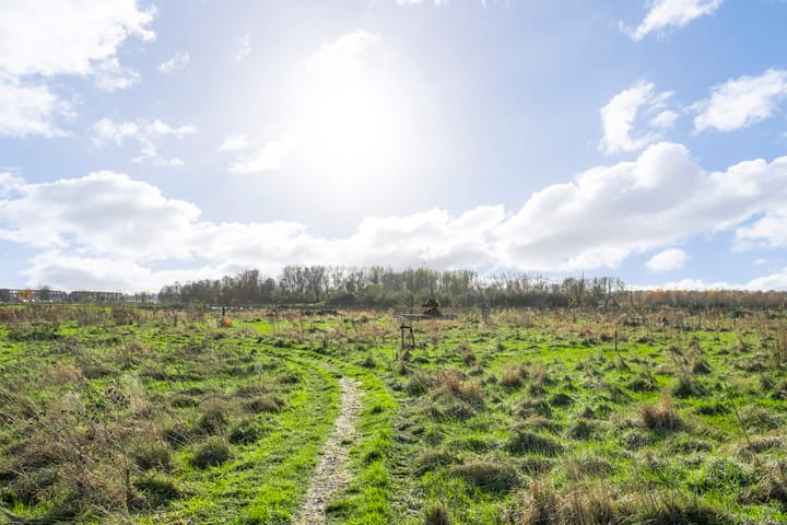 Foto 44 van Parelgrijs 5