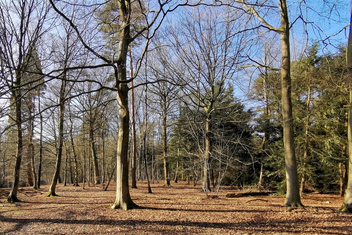 Foto 46 van Frans Erensstraat 18