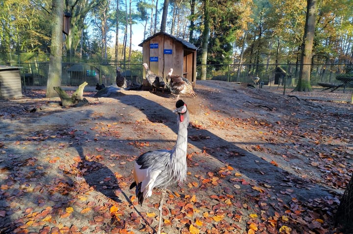 Foto 48 van Frans Erensstraat 18