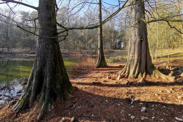 Foto 49 van Frans Erensstraat 18