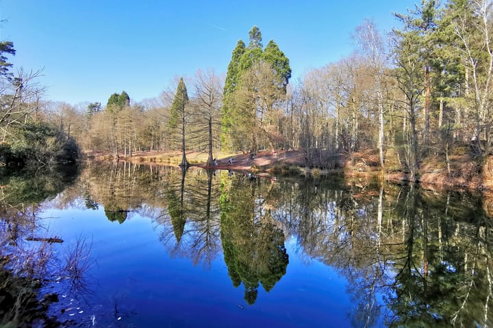 Foto 50 van Frans Erensstraat 18