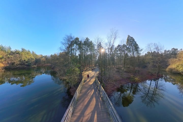 Foto 51 van Frans Erensstraat 18