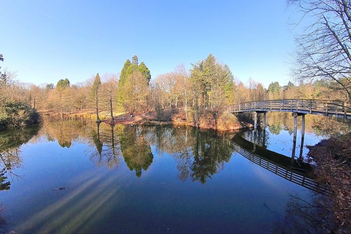 Foto 52 van Frans Erensstraat 18