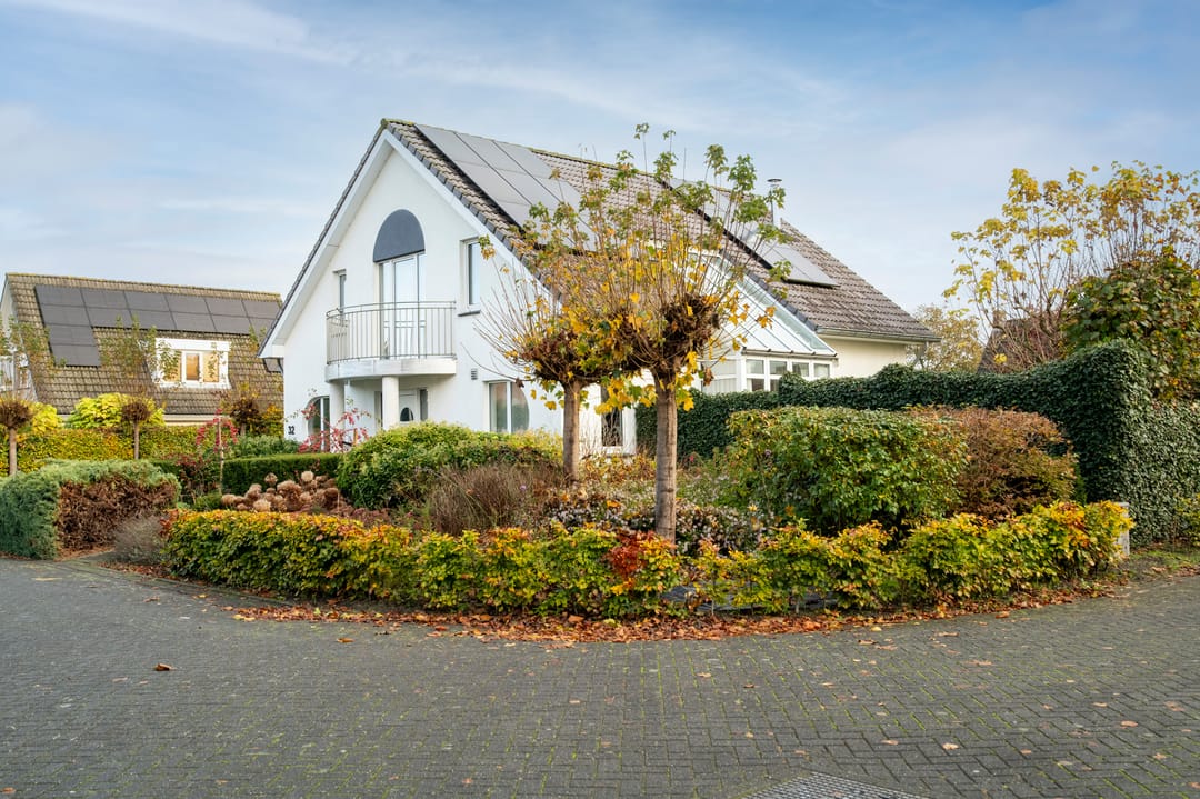 Foto 31 van Watersnip 32