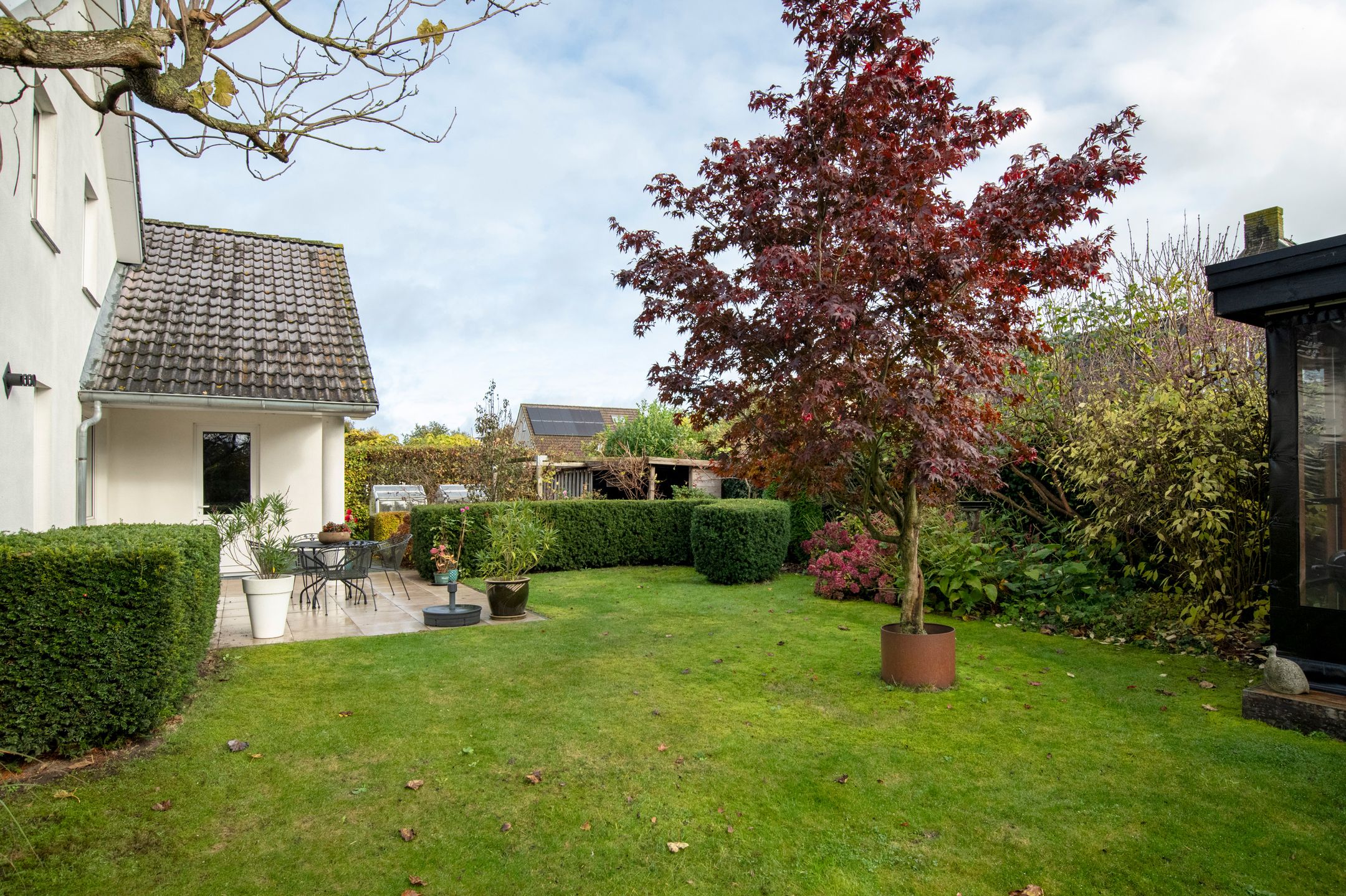 Foto 39 van Watersnip 32