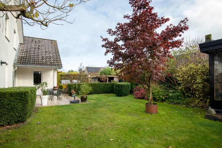 Foto 39 van Watersnip 32