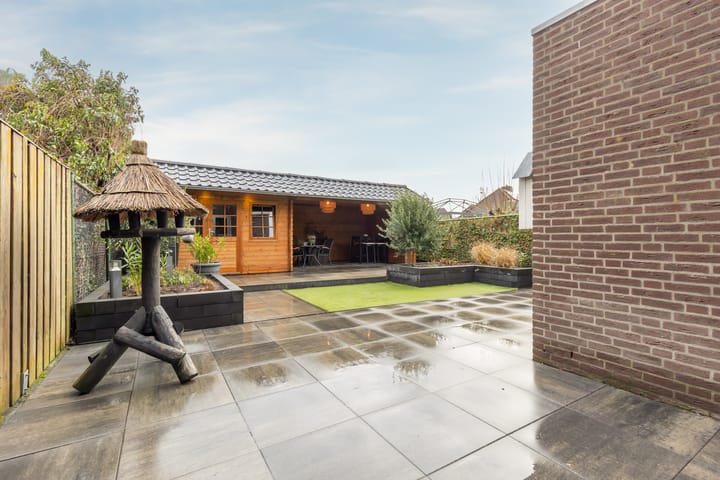 Foto 18 van Pollux 6