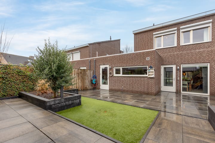 Foto 24 van Pollux 6