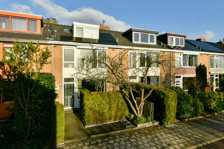 Foto 1 van Anna Pawlowastraat 6