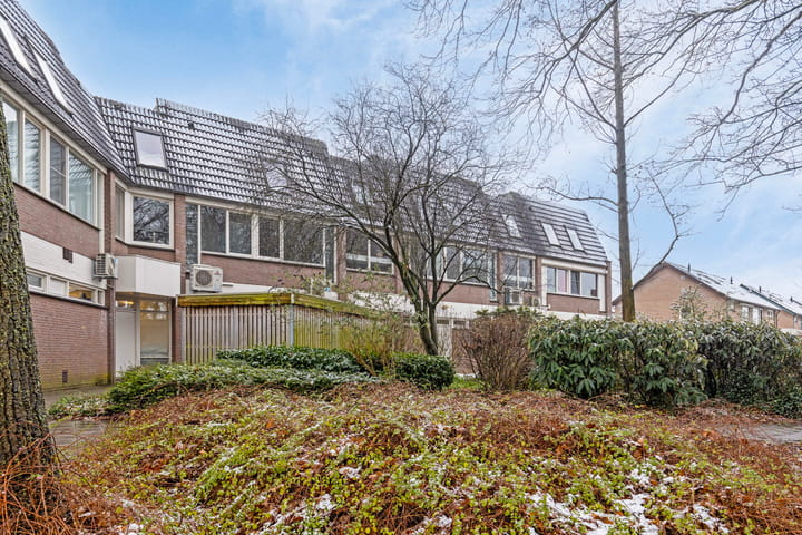 Foto 35 van Touwslagersgroes 5