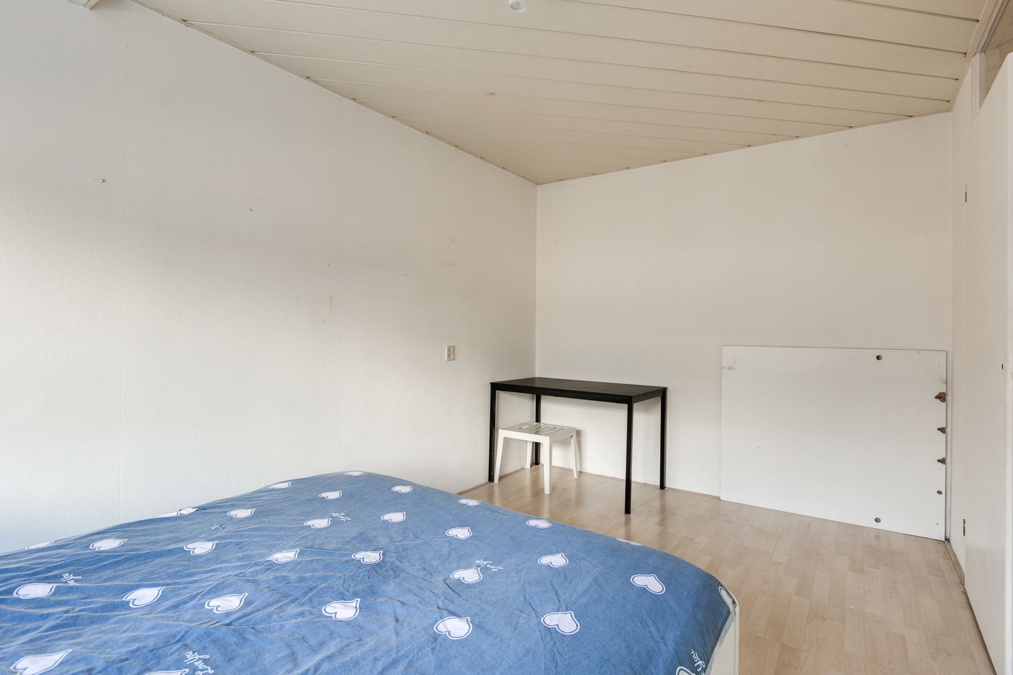 Foto 19 van Ringspoor 195