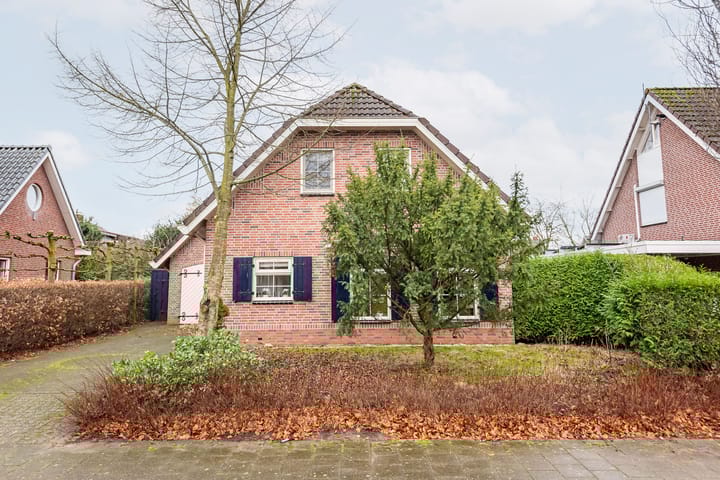 Foto 5 van de Bryde 3