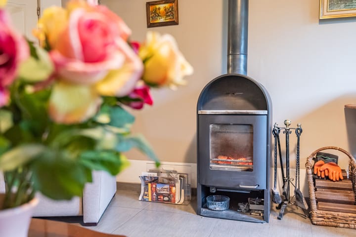 Foto 12 van de Bryde 3