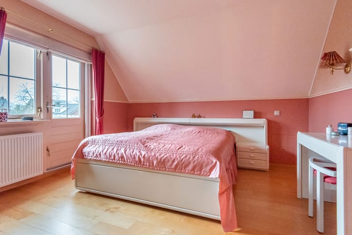 Foto 21 van de Bryde 3