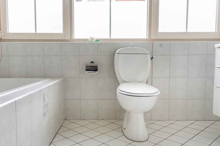 Foto 32 van de Bryde 3