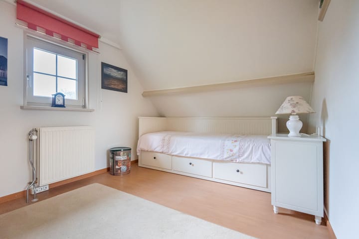 Foto 35 van de Bryde 3