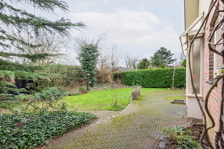 Foto 41 van de Bryde 3