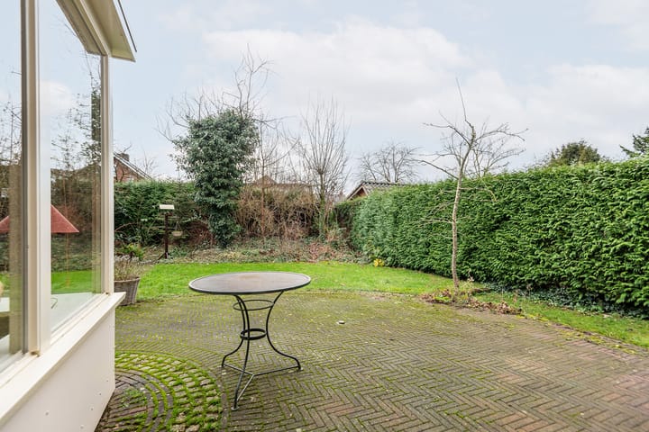 Foto 43 van de Bryde 3