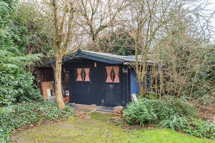 Foto 45 van de Bryde 3