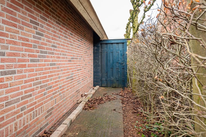 Foto 46 van de Bryde 3