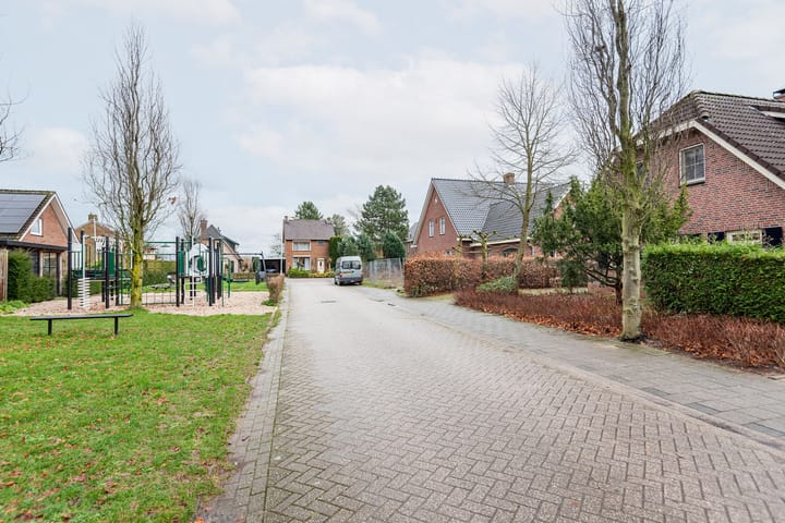 Foto 48 van de Bryde 3