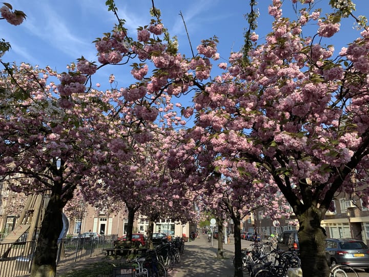 Foto 20 van Lutmastraat 97-1