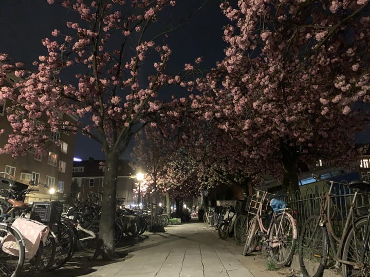 Foto 18 van Lutmastraat 97-1