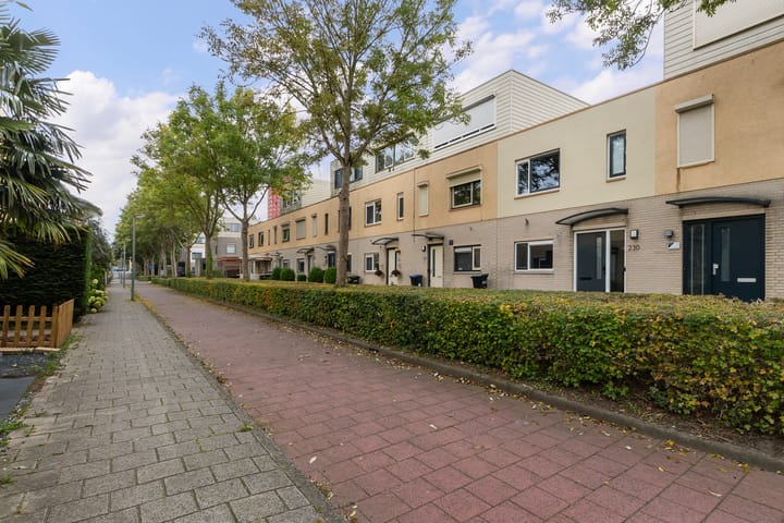 Foto 2 van Meranti 230