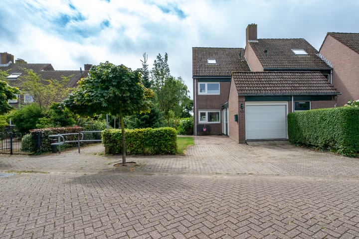 undefined main image