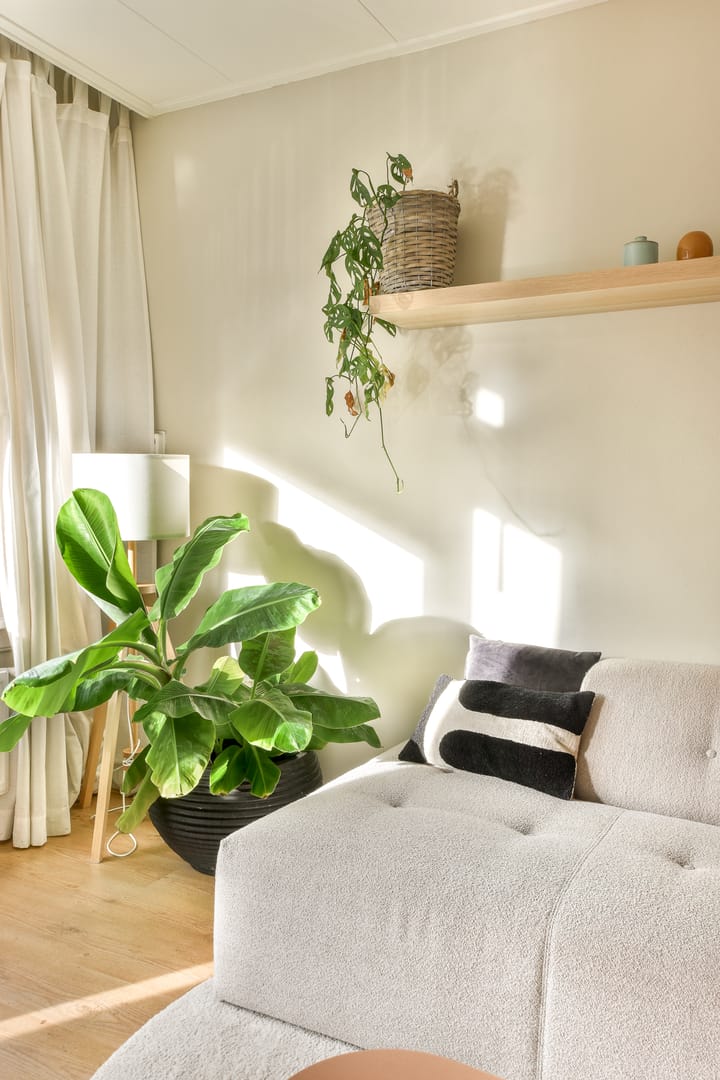 Foto 9 van Esmoreitstraat 12-1