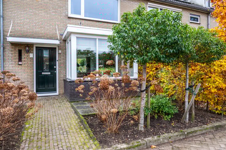 Foto 50 van Raailand 6