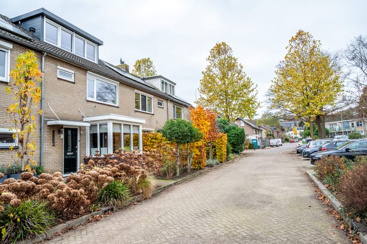 Foto 52 van Raailand 6