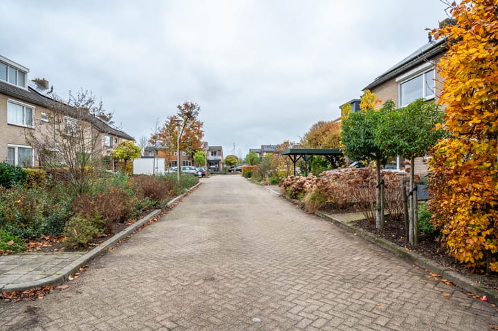 Foto 53 van Raailand 6