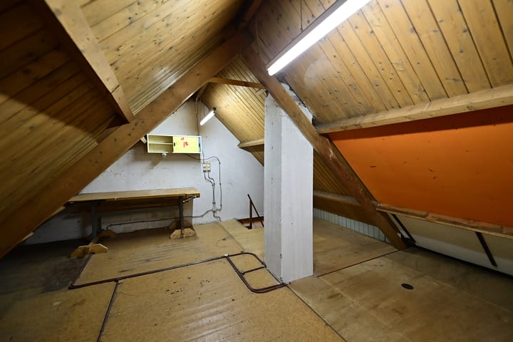 Foto 9 van Dahliastraat 17