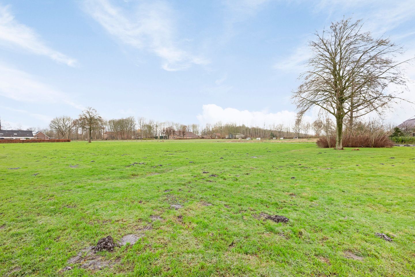 Foto 34 van Graaf Adolfstraat 8