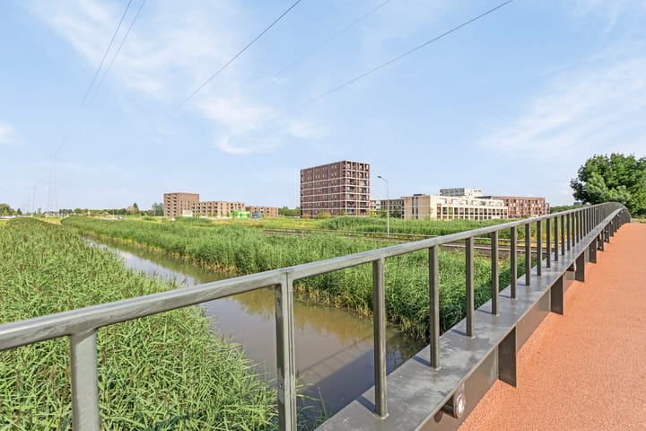 Foto 43 van Mosasingel 119