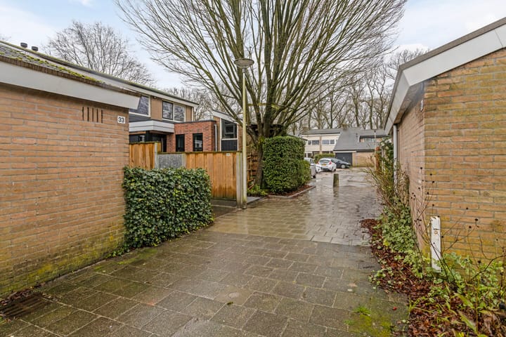 Foto 7 van Spielehorst 33