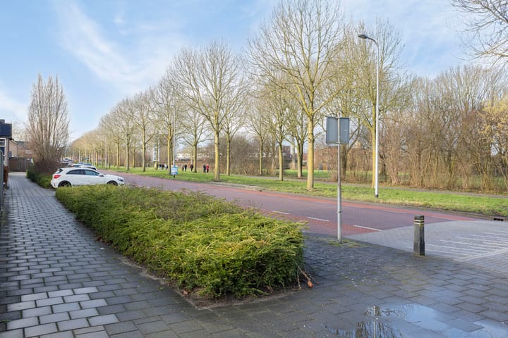 Foto 38 van Kappeijne van de Coppellostraat 6