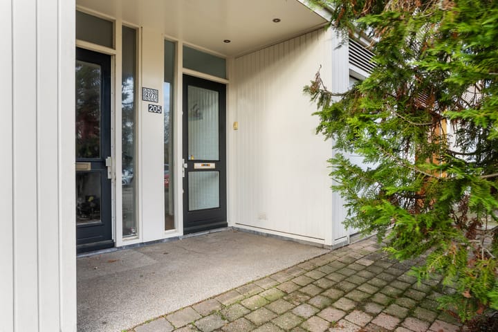 Foto 3 van Graaf Janstraat 205