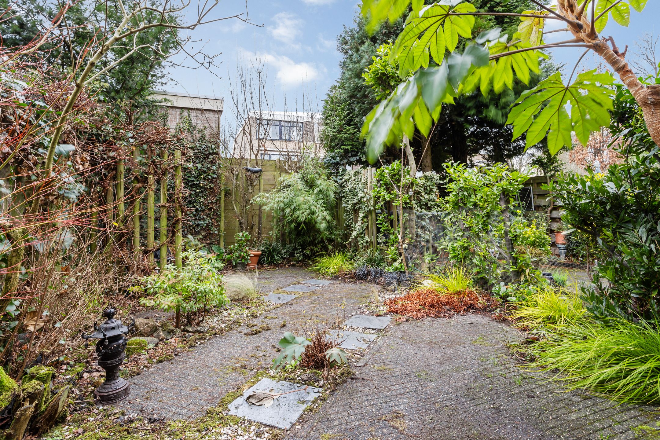 Foto 6 van Graaf Janstraat 205