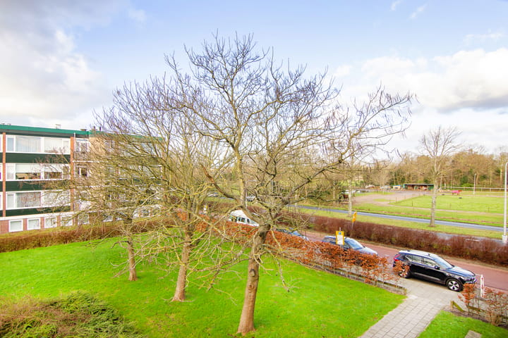 Foto 21 van Santpoortse Dreef 138