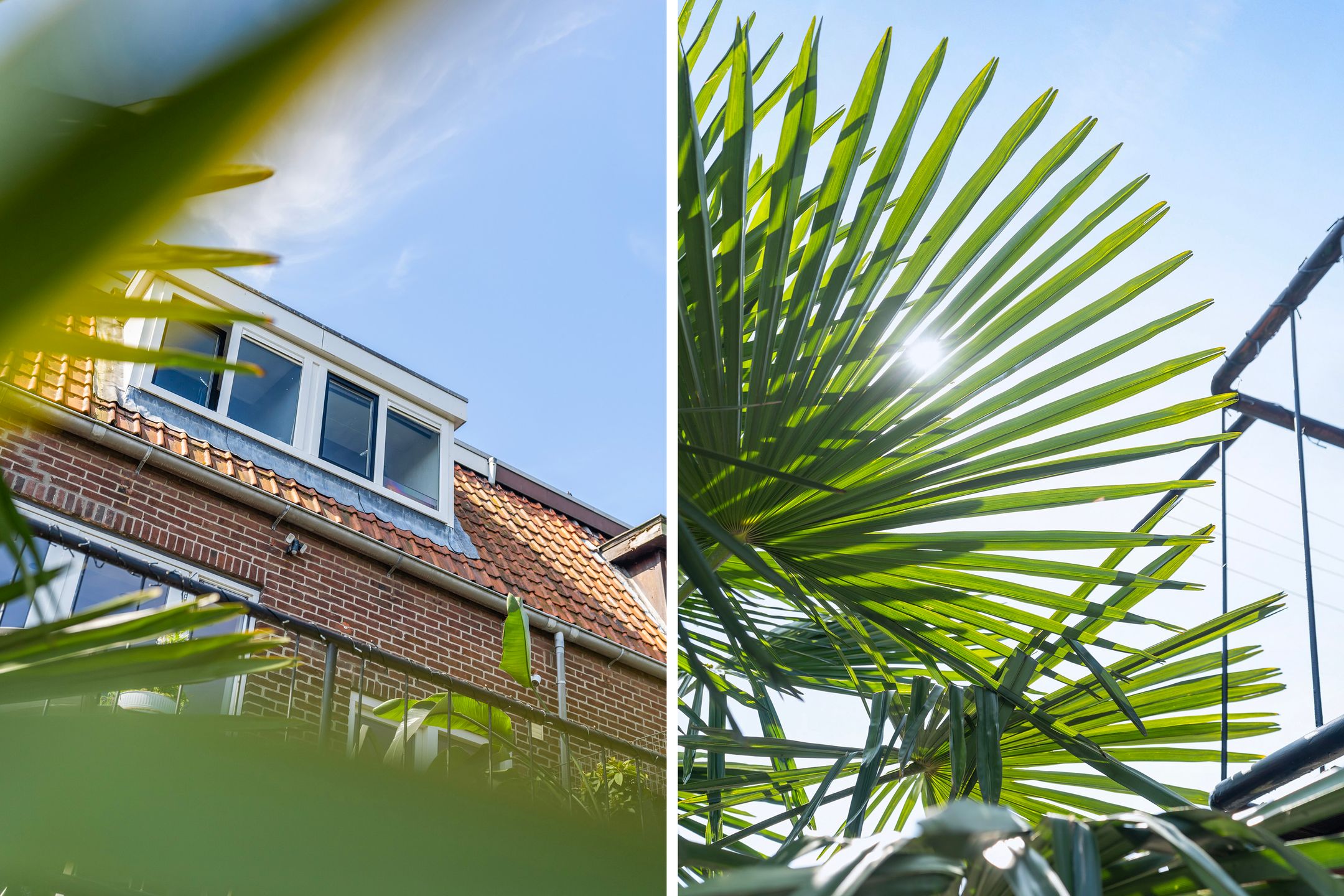 Foto 33 van Dordtsestraatweg 56