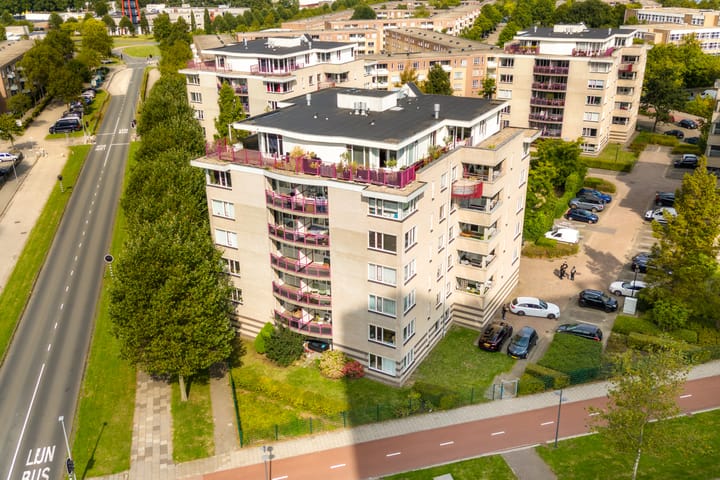 Foto 5 van Olof Palmehof 55