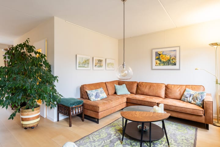 Photo 5 of Roerdomphorst 13