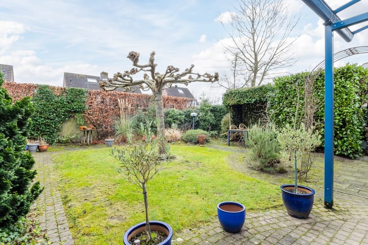 Photo 21 of Roerdomphorst 13