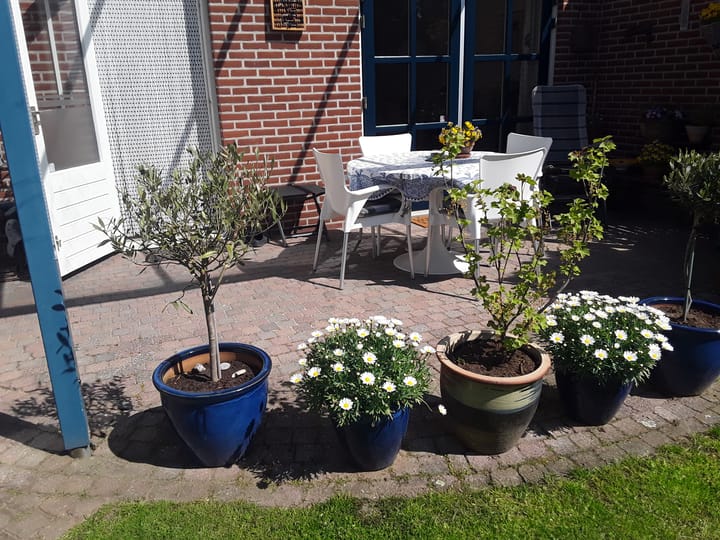 Photo 25 of Roerdomphorst 13