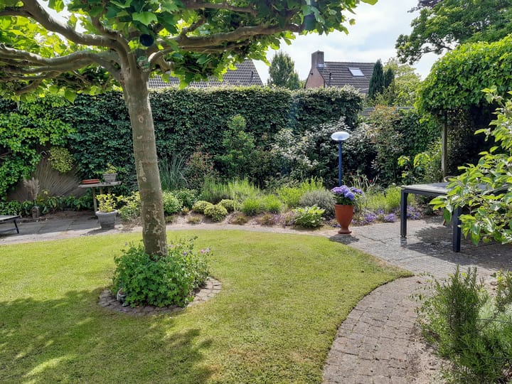 Photo 26 of Roerdomphorst 13