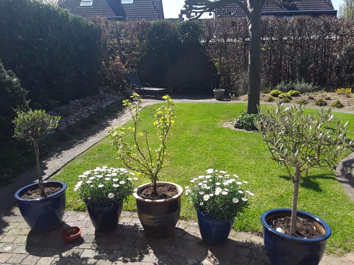 Photo 27 of Roerdomphorst 13