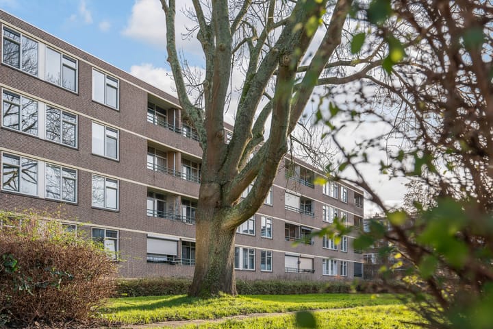 Foto 24 van Bredenoord 166